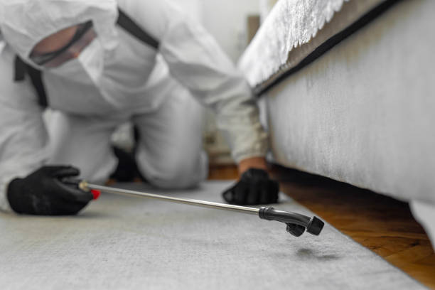 Professional Emergency Pest Control technician working in Travelers Rest, SC