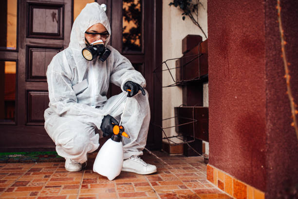 Reliable Emergency Pest Control contractor in Travelers Rest, SC by Nex Pest Control