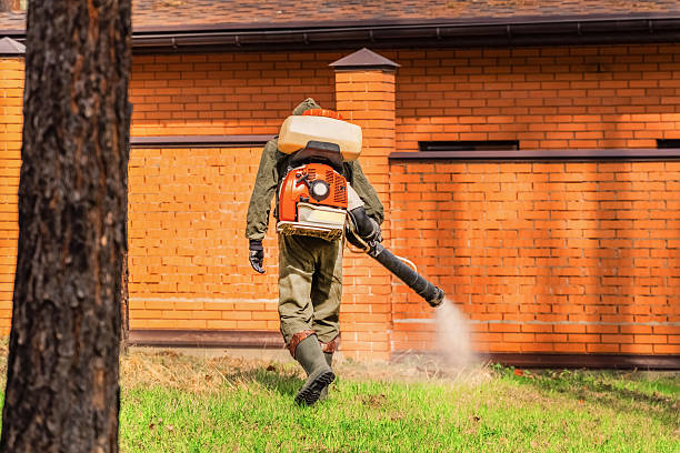 Trusted Rodent Control service in Travelers Rest, SC - Nex Pest Control